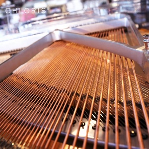 Piano de bébé en cristal transparent et argenté, personnalisé, avec étui de vol, chlore HG-168A - Product Image 5