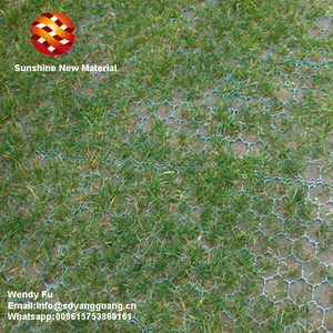 Grille de pavage en PP poreux cellulaire recyclé HDPE 100% pour les parcs de stationnement - Product Image 2