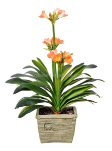 Plantas Artificiales Decorativas de Interior al por Mayor Konda, Plantas Ornamentales de Interior - Product Image 4