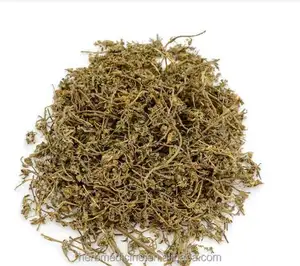 Natural new raw Small Centipeda herb dried whole part from Centipeda minima for feature tea