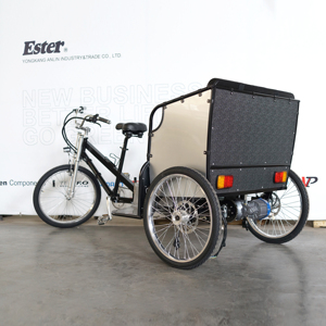 Ester ชนิด<span class=keywords><strong>เปิด</strong></span>ของร่างกายขับไฟฟ้าจักรยานก้านดอก,500W Ester ก้านดอก - Product Image 1