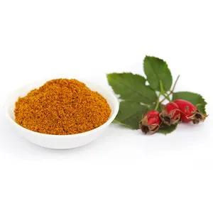 Bulk Supply Private Label Nutritional Fruit Supplement Vitamin C 100% Pure Rosehip Powder Rosehip Flour