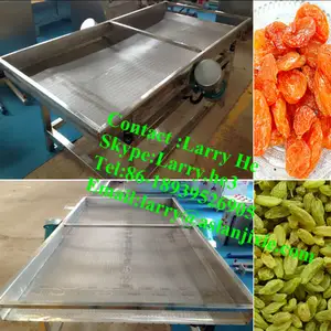 Prugna secca linea di lavorazione/frutta secca linea di produzione/albicocca secca fette di macchina di elaborazione