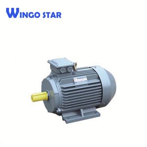 <span class=keywords><strong>Rotor</strong></span> bobinado trifásico motor de inducción eléctrico - Product Image 5