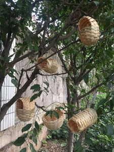 <span class=keywords><strong>Bamboo</strong></span> <span class=keywords><strong>Bird</strong></span> Ninho e Casa - Product Image 2