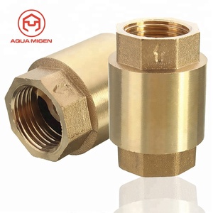 L 200WOG 1/2 ''Van Kiểm Tra Dọc Lò Xo Đồng Thau NPT Để Điều Khiển Đồng - Product Image 1