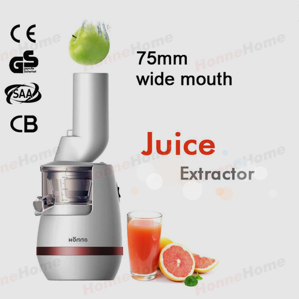 Haute Qualité 200 W Fruits Entiers Lente Presse-agrumes Semences Moins pour Nutriments Jus