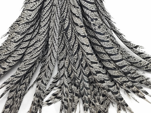 90cm lông ngựa vằn đen trắng tự nhiên - Product Image 3