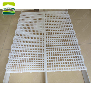 Nouveau plancher en plastique pour <span class=keywords><strong>poulailler</strong></span>, lattes en PP, revêtement de <span class=keywords><strong>sol</strong></span> pour élevage, équipement d'élevage - Product Image 6