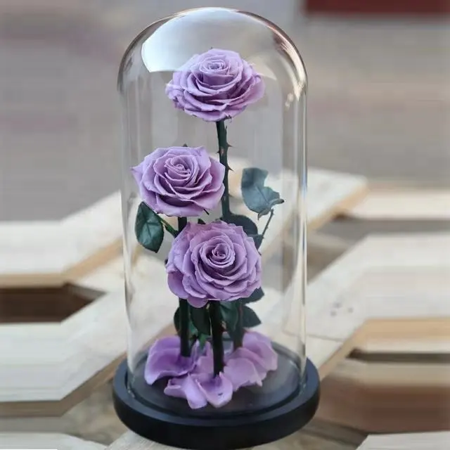 Commercio all'ingrosso Giapponese Decorativo Fiori Conservati in Cupola di Vetro di san valentino Giorno Fresco Naturale Rosa con Naturale Staminali Essere Regina