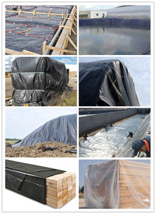 6mil 20 X 100 Polyethylene <strong>Plastic</strong> <strong>Sheeting</strong> <strong>Roll</strong> for Construction and Agriculture - Product Image 5