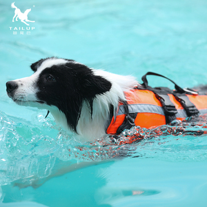 <span class=keywords><strong>Chaleco</strong></span> de natación deportivo de estilo sólido con abrigo flotante ajustable de poliéster reflectante <span class=keywords><strong>para</strong></span> <span class=keywords><strong>perros</strong></span> - Product Image 1