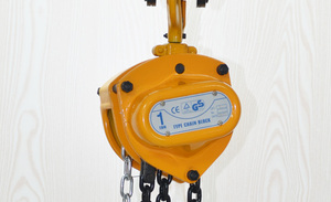 Tangan dioperasikan <span class=keywords><strong>hoist</strong></span> <span class=keywords><strong>manual</strong></span> chain <span class=keywords><strong>hoist</strong></span> <span class=keywords><strong>1</strong></span> <span class=keywords><strong>t</strong></span> rantai katrol blok furniture alat angkat - Product Image 6