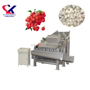 Importing Advanced Technology Rambutan Processing Machinery from Foreign Countries