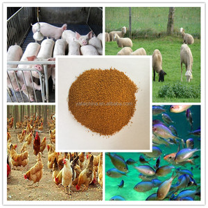 飼料、動物飼料、トウモロコシ、魚粉植物、中国サプライヤー