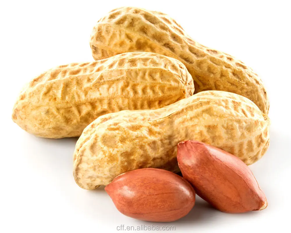 Hohe Konzentration und guter Geruch Erdnuss essenz Erdnuss flüssiges Aroma für Lebensmittel konzentriert