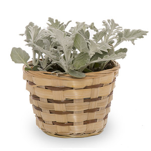 Cina fornitore All'ingrosso di Bambù Rotondo <span class=keywords><strong>Felce</strong></span> fioriera cestino - Product Image 4