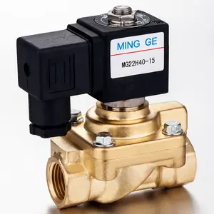 MGPC MINGGE 321H35 40Bar şişe üfleme makinesi Solenoid vana 24V DC 220V AC yüksek basınçlı selenoid vana