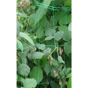 Filet de Support de plantes en treillis, pour vigne, escalade, jardin