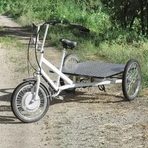 ESTER Elektrische Flatbed Trike voor Lading, drie wielen fiets