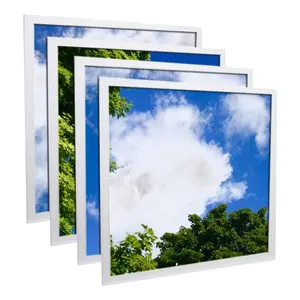 ETL genehmigt blauen himmel wolke bild 2x2 2x4 decke led-panel licht