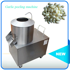 Gran capacidad de acero inoxidable máquina de <span class=keywords><strong>pelar</strong></span> el ajo con 150-220 kg/h para uso en el hogar - Product Image 5