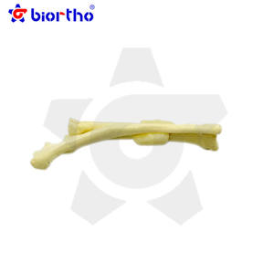 Instrumentos ortopédicos modelo de osso do filhote de cachorro - Product Image 5