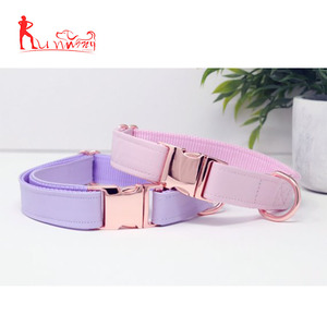 Collar para perro de piel sintética con hebilla de oro rosa - Product Image 4