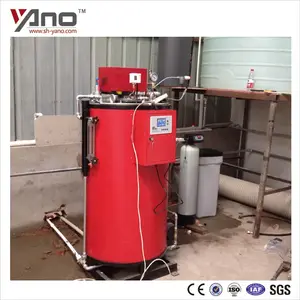 Fuel Natural Gas Steam Boiler 100KG/H For Autoclave or Vulcanizer Equipment Steam Cooking Use