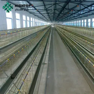 Poultry Farm Products H Type Small Design 160 Capacity Cages For Layer Chickens