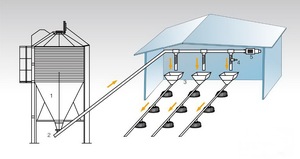 Vleeskuikens gevogelte boerderij ontwerp/Automatische gevogelte apparatuur/gevogelte voeden en drinken lijn - Product Image 6