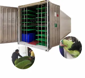 Hydroponic fodder systems sprout machine Mobile farm Hydropower system Green feed system hydroponic fodder