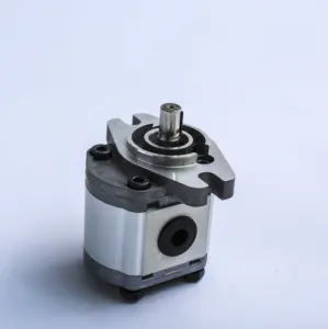 High pressure bi-direction hydraulic gear motor