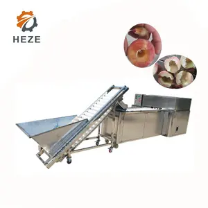 Mango Kernels Scheiden Machine Verwijderen Kernel voor Mango Proces