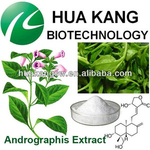 <span class=keywords><strong>andrographis</strong></span> <span class=keywords><strong>paniculata</strong></span> extrait sec organique - Product Image 1