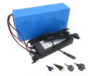 锂离子电池高品质 48V 20Ah LiFePO4 电池组与 BMS 电动自行车电动滑板车