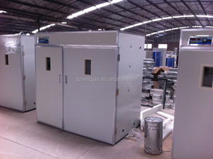 5000 Oeufs incubateur, 5000 trứng incubateur automatique En pháp <span class=keywords><strong>WQ</strong></span>-<span class=keywords><strong>5280</strong></span> - Product Image 5