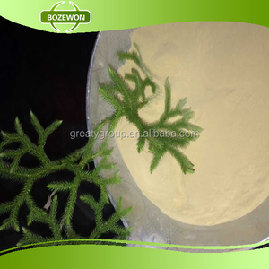 100% Heavy Lycopodium Spore Powder Wild-Cultivated Herbal <strong>Extract</strong> In Drum Packaging - Product Image 3
