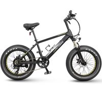 Versatile Electric Bike Made in China 