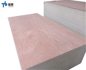 มะฮอกกานีชั้นไม้อัดขนาดราคาดี - Product Image 2