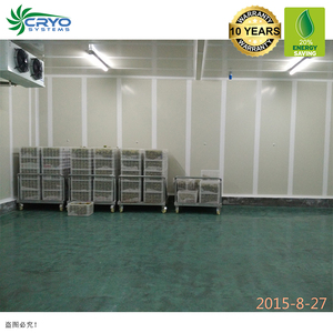 Brócoli fresco para instalaciones de cámara frigorífica en california cámara frigorífica <span class=keywords><strong>oeste</strong></span> distribución de sala fría - Product Image 3