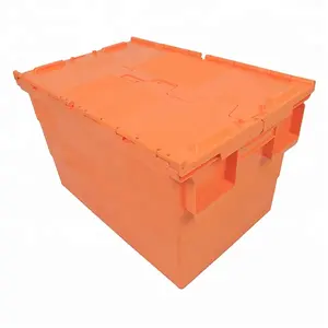 Caja de embalaje de plástico para transporte de frutas y verduras