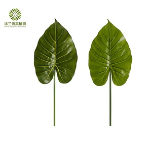 ออกแบบใหม่ Real Touch ดอกไม้ประดิษฐ์ใบ57ซม.ประดิษฐ์ <span class=keywords><strong>Alocasia</strong></span> <span class=keywords><strong>Macrorrhizos</strong></span> ใบสำหรับ Indoor Garden ตกแต่ง - Product Image 5