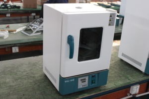 CHINCAN-horno de secado serie WGL, horno eléctrico de laboratorio de secado térmico, aire caliente con el mejor precio - Product Image 3