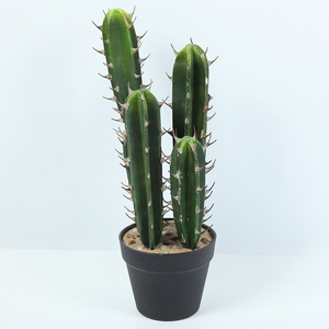 Plantas Artificiales <span class=keywords><strong>de</strong></span> <span class=keywords><strong>Cactus</strong></span> Mini, Decoración <span class=keywords><strong>de</strong></span> Escritorio Moderna Escandinava, Sin Agua, Poco <span class=keywords><strong>Luz</strong></span>, Hogar y Oficina - Product Image 2