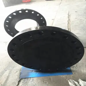 Class 150 Blind Flange Dn750 Carbon Steel Forged Flange