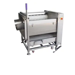 vegetable washing machine with ozone/onion peeling machine cutting/fruit and vegetable peeling machine