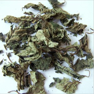 Ning Meng Xiang Feng Ye Nouvelle Récolte d'Herbes Épices <span class=keywords><strong>Feuilles</strong></span> de Mélisse Séchées - Product Image 1