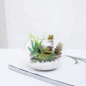 Fausses plantes succulentes artificielles de petite taille, nouveau design, en verre, pot de fleurs pour la décoration, - Product Image 4