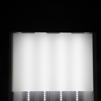 Feuille/panneau/plaque diffuseur en acrylique PMMA PC PS givré opale pour éclairage LED